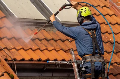 Démoussage et hydrofuge de toiture à Romaine